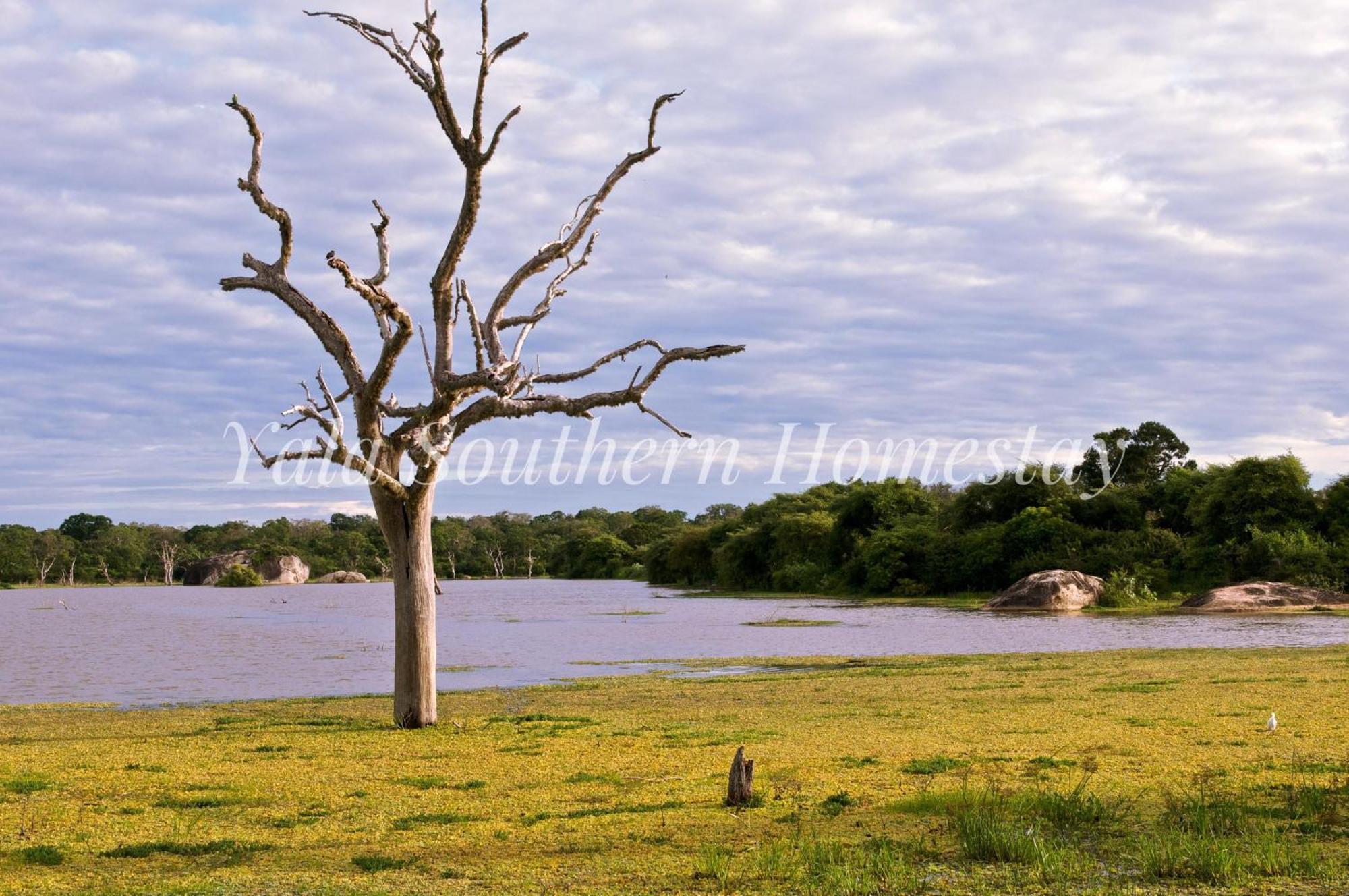Yala Southern Homestay Tissamaharama Exterior foto