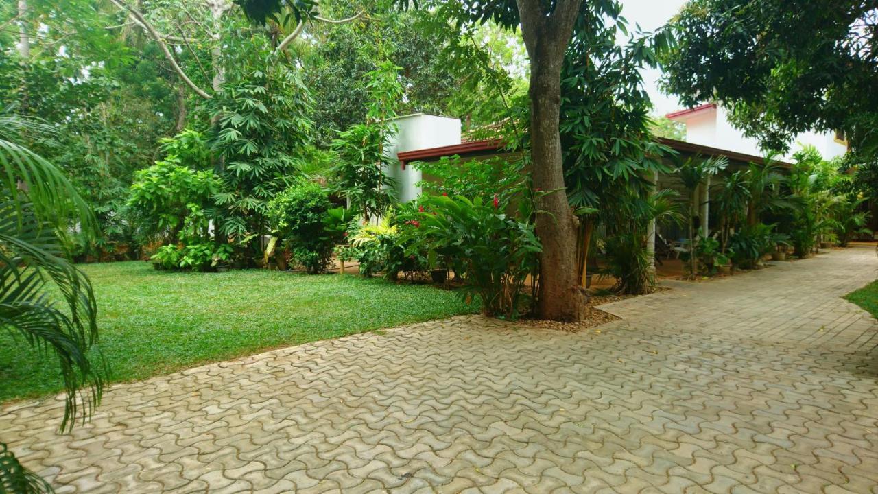 Yala Southern Homestay Tissamaharama Exterior foto