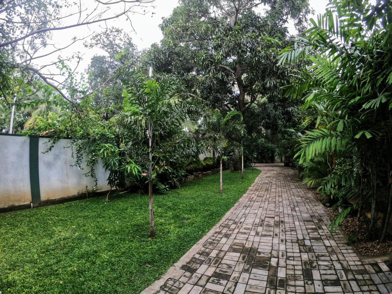 Yala Southern Homestay Tissamaharama Exterior foto