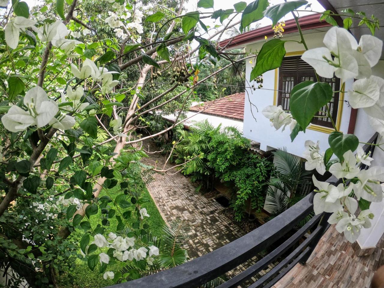 Yala Southern Homestay Tissamaharama Exterior foto