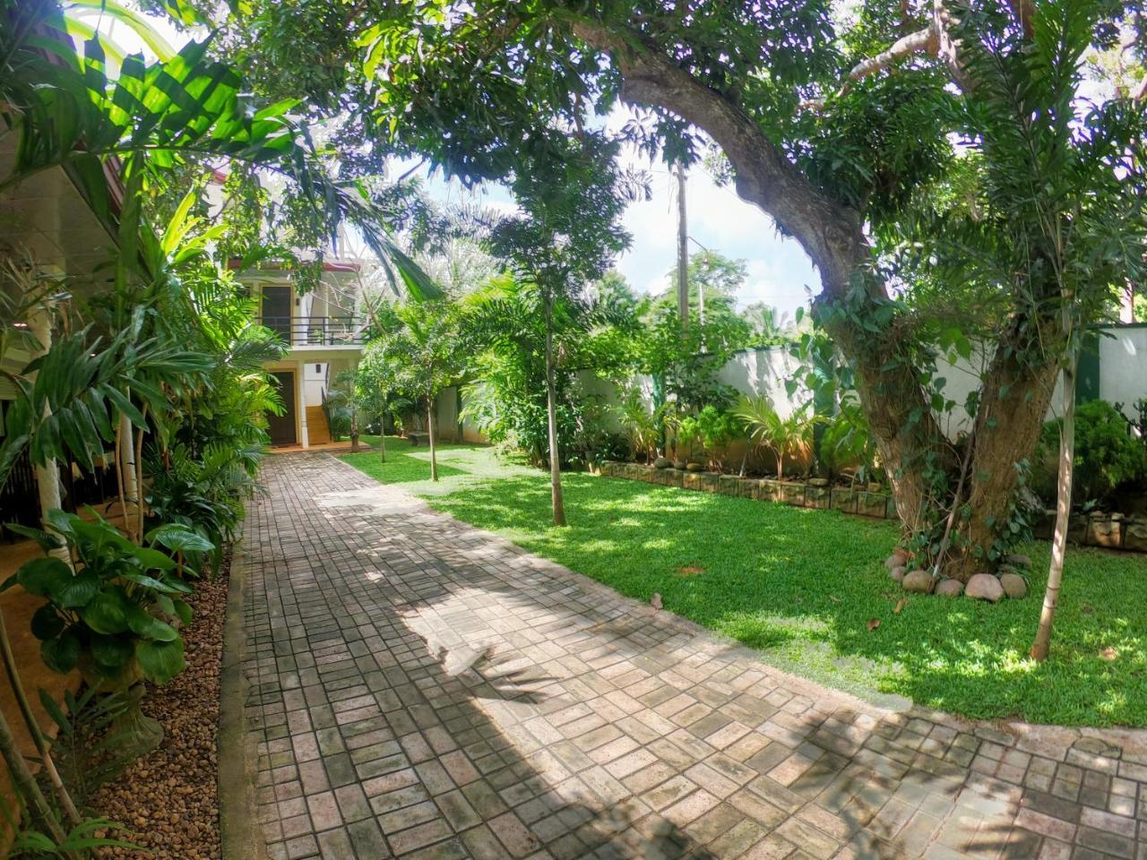 Yala Southern Homestay Tissamaharama Exterior foto